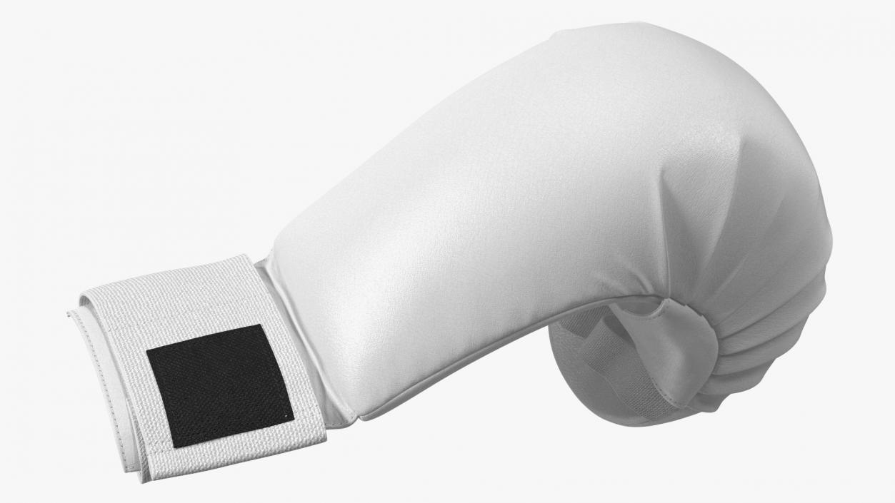 Sports Karate Gloves Lying White 3D