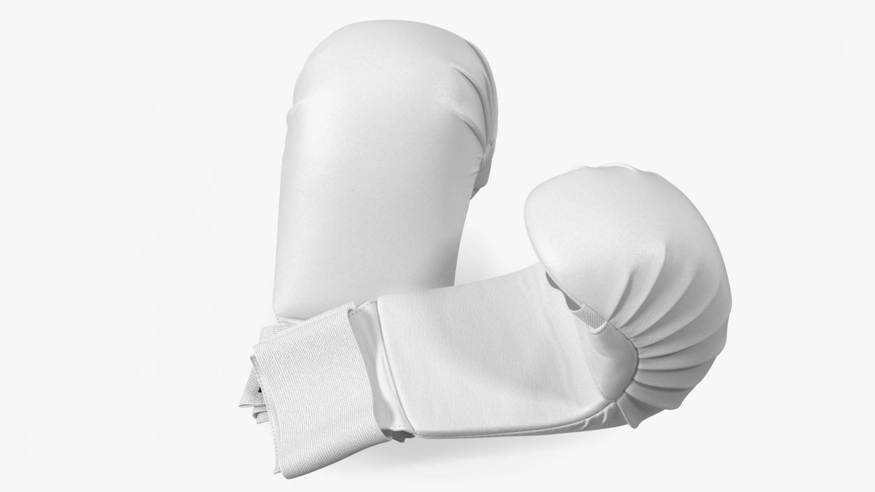 Sports Karate Gloves Lying White 3D