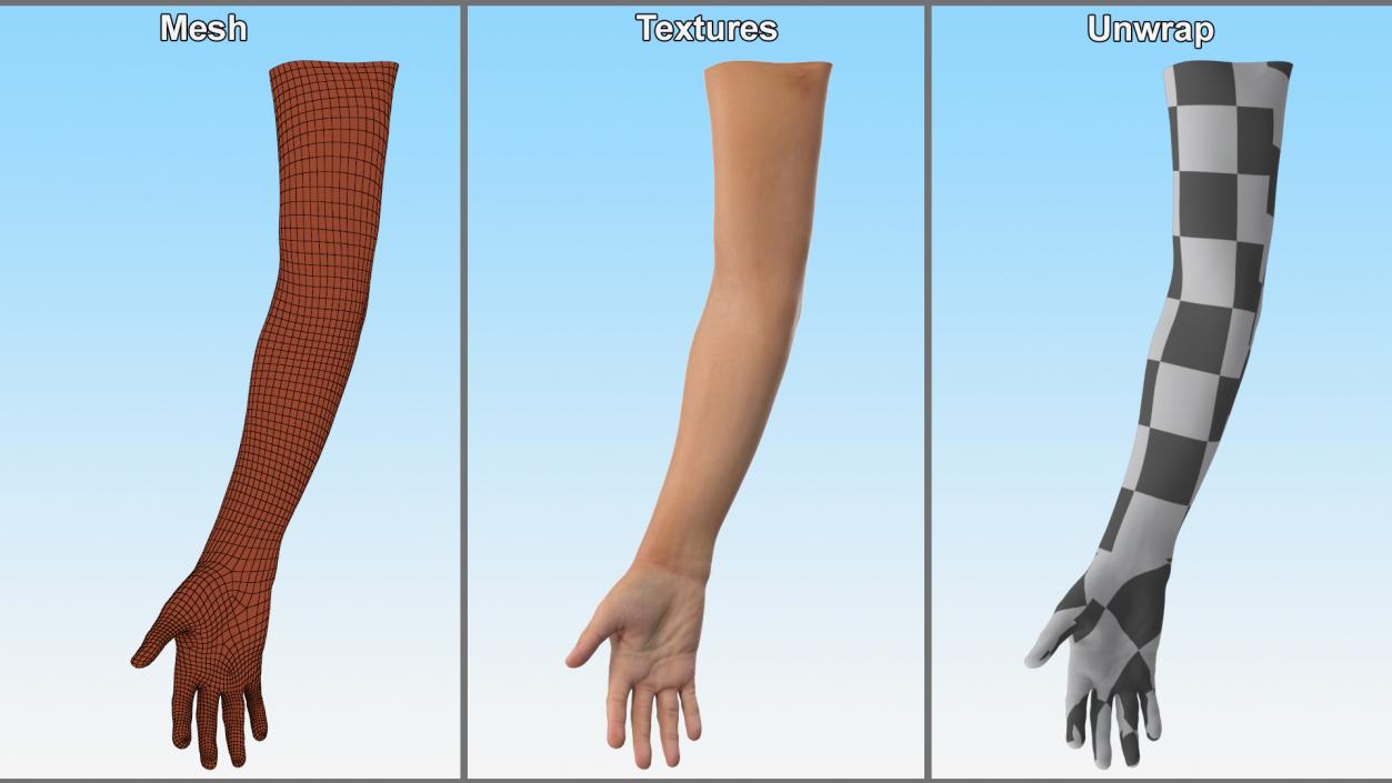 3D Realistic Young Boy Arm model