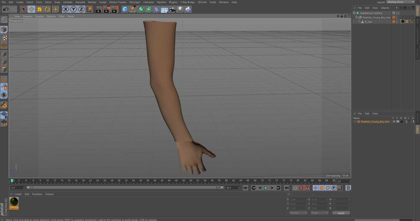 3D Realistic Young Boy Arm model