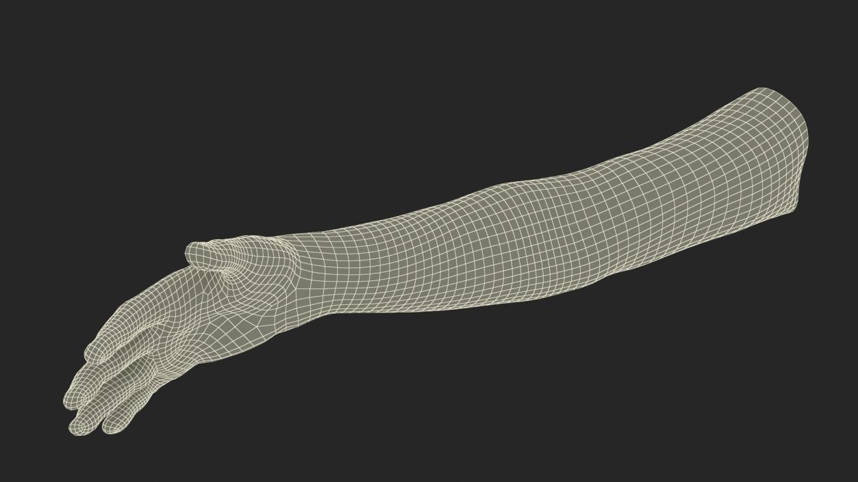 3D Realistic Young Boy Arm model