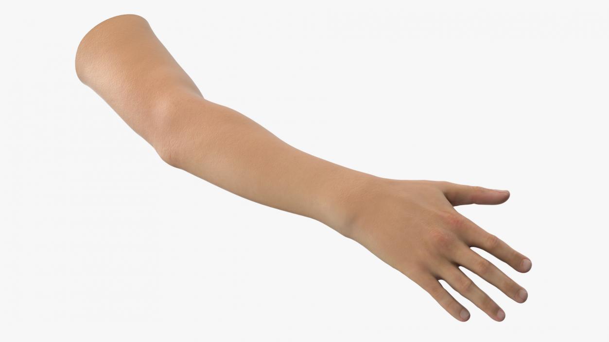 3D Realistic Young Boy Arm model