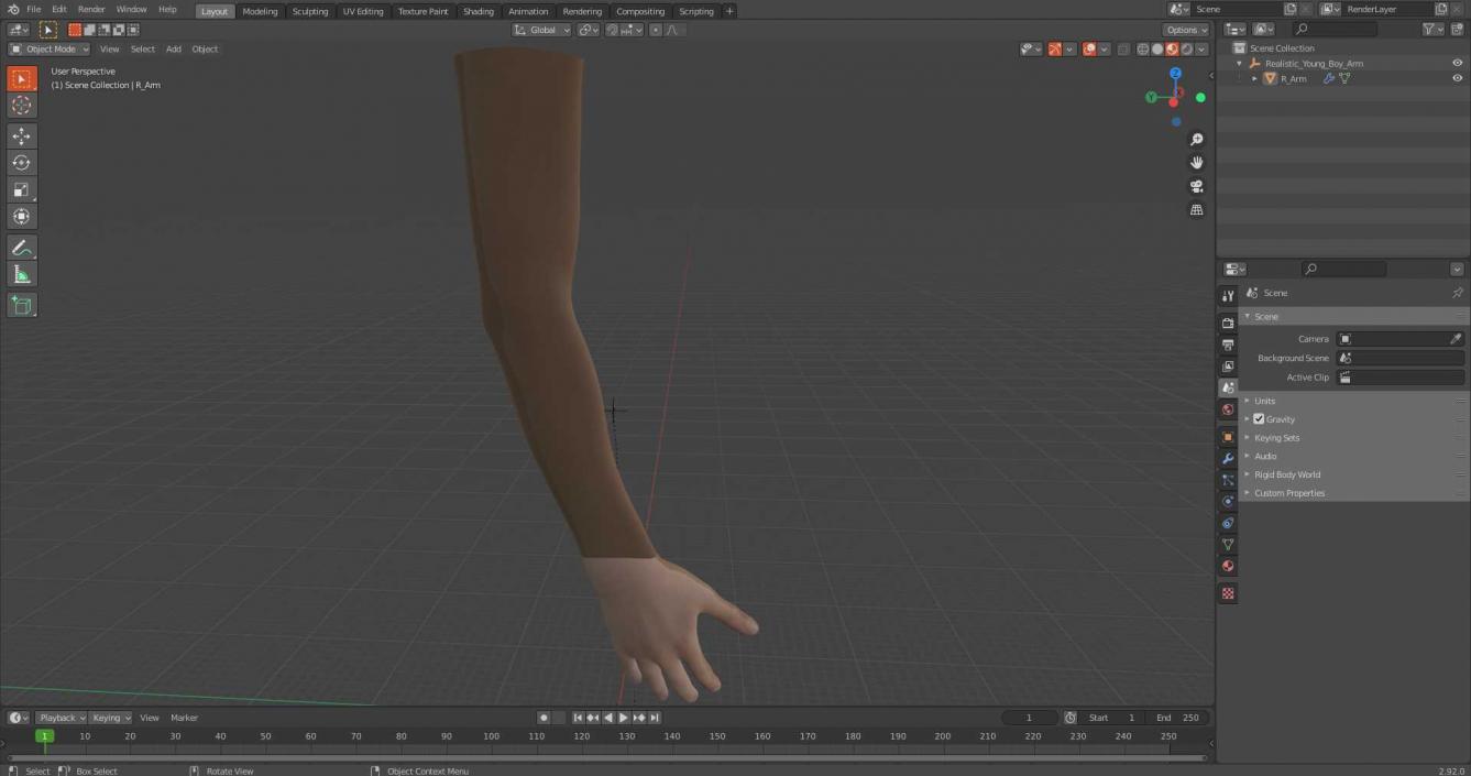 3D Realistic Young Boy Arm model