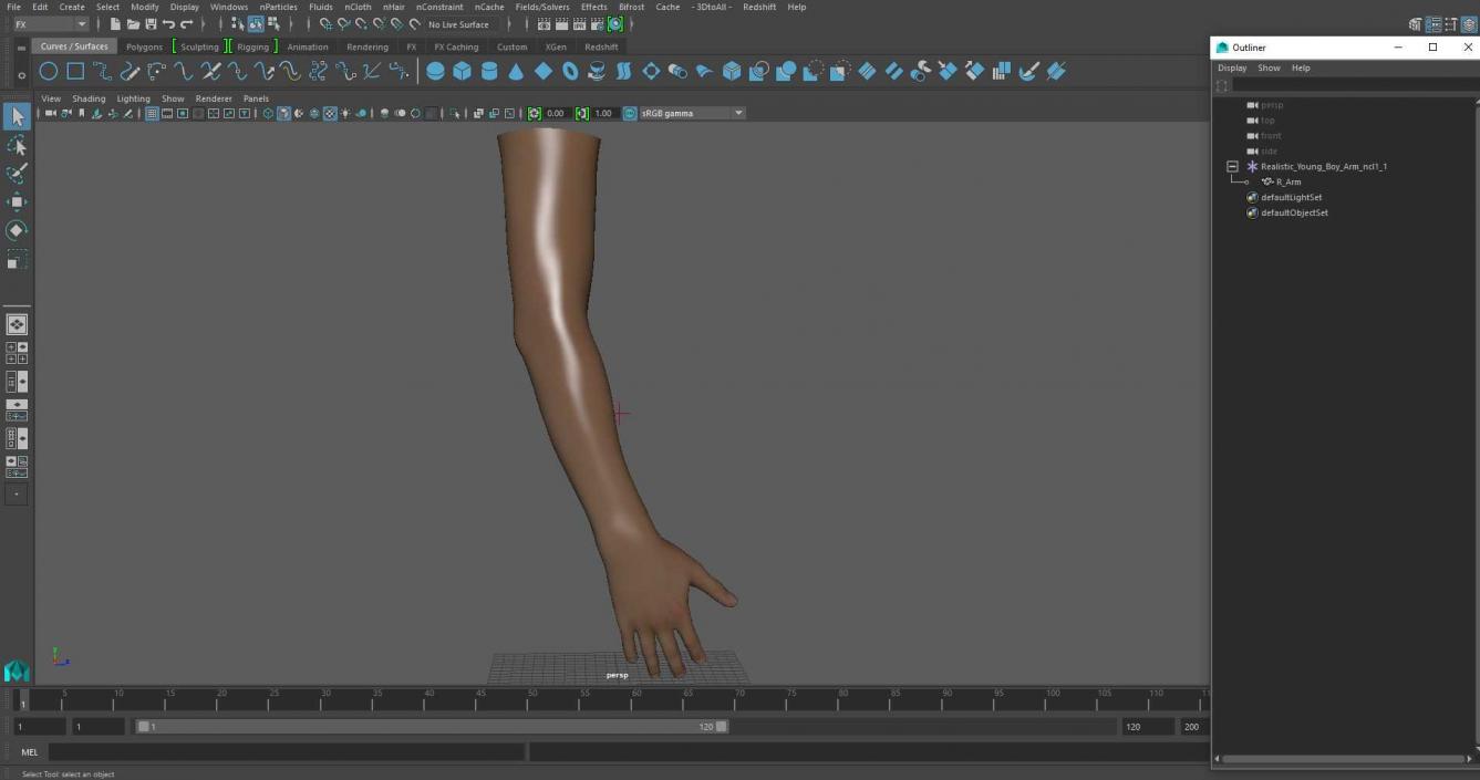 3D Realistic Young Boy Arm model