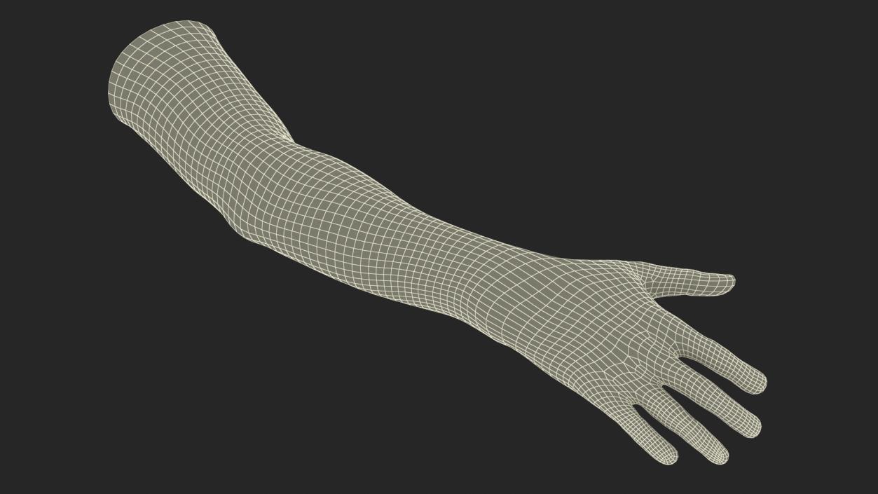 3D Realistic Young Boy Arm model