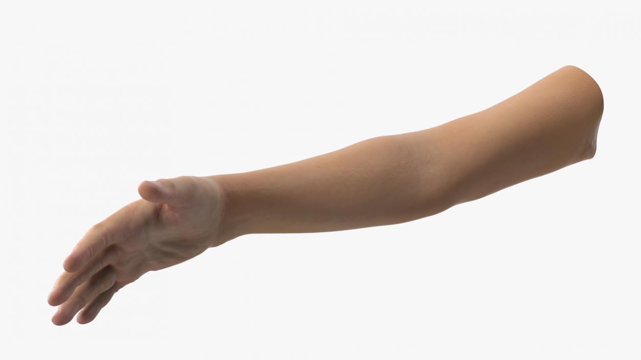 3D Realistic Young Boy Arm model