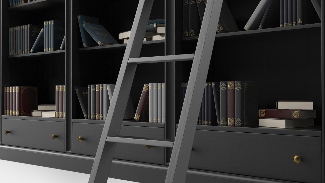 3D Black Open Library Bookcase with Books model