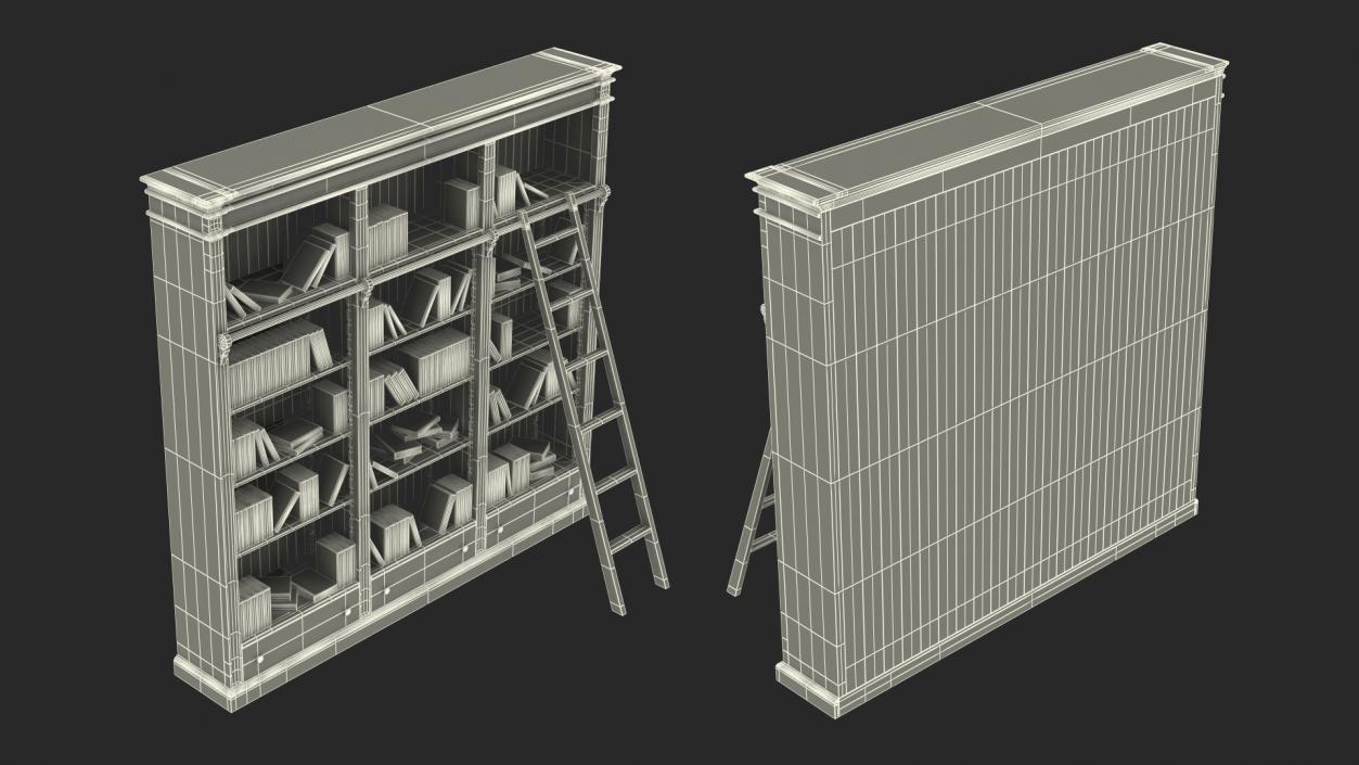 3D Black Open Library Bookcase with Books model