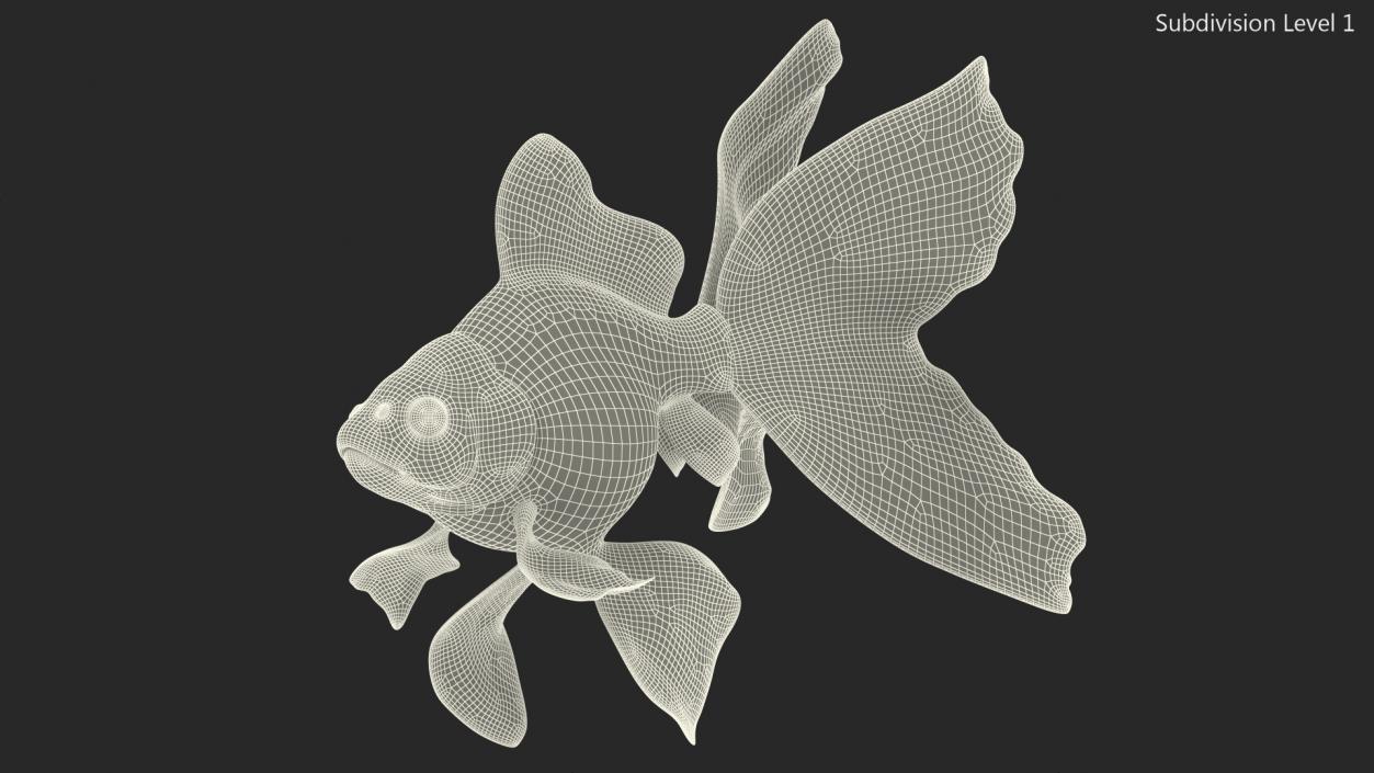 White Goldfish Aquarium Fish Swimming Pose 3D