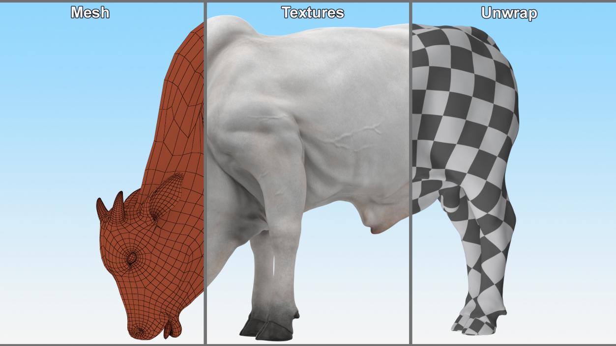 3D Nelore Cow Male Eating Fur