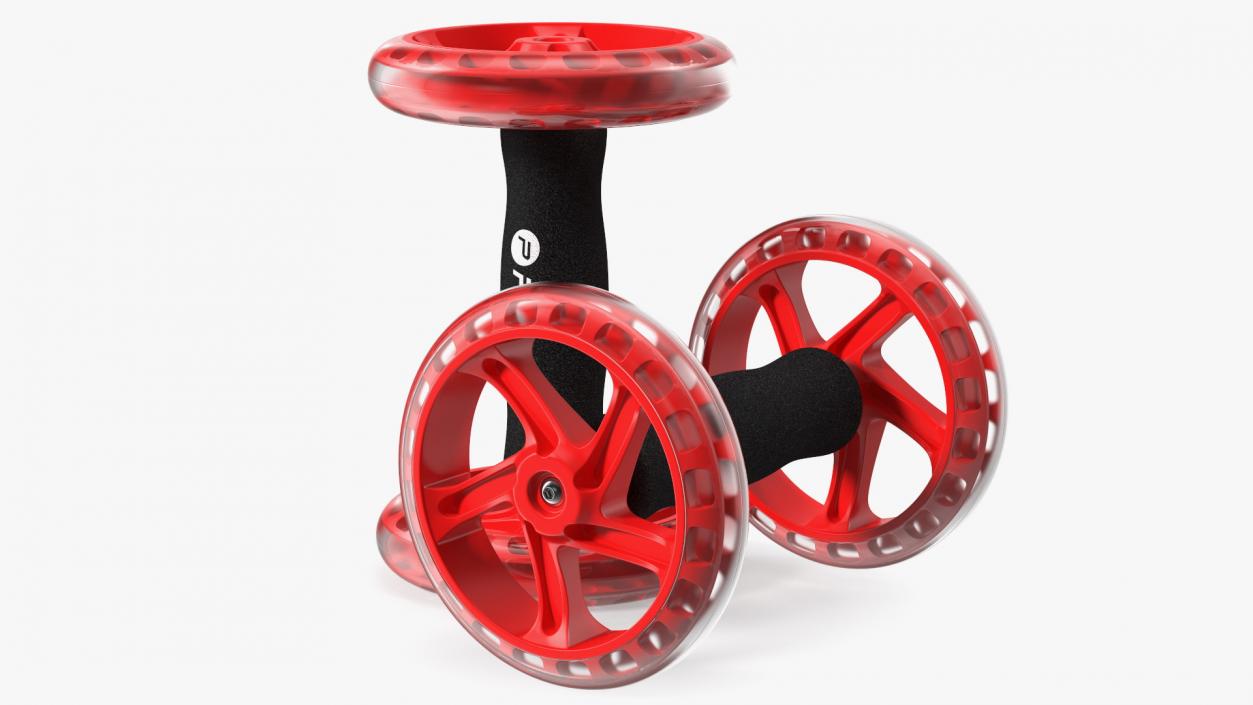 3D Pure2Improve Core Training Wheels model