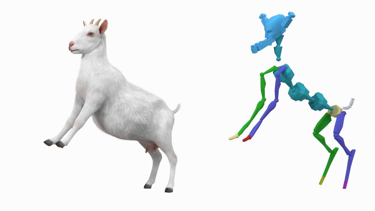 3D Goat Saanen Breed Rigged Fur model