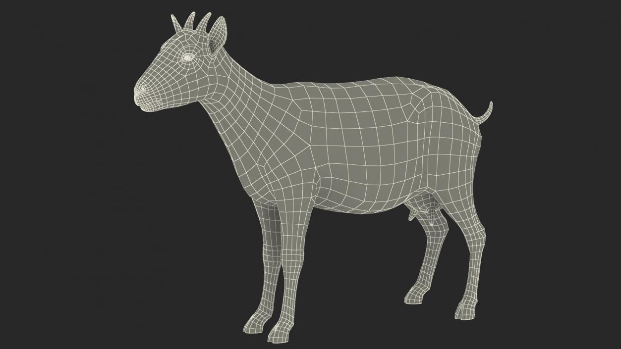 3D Goat Saanen Breed Rigged Fur model