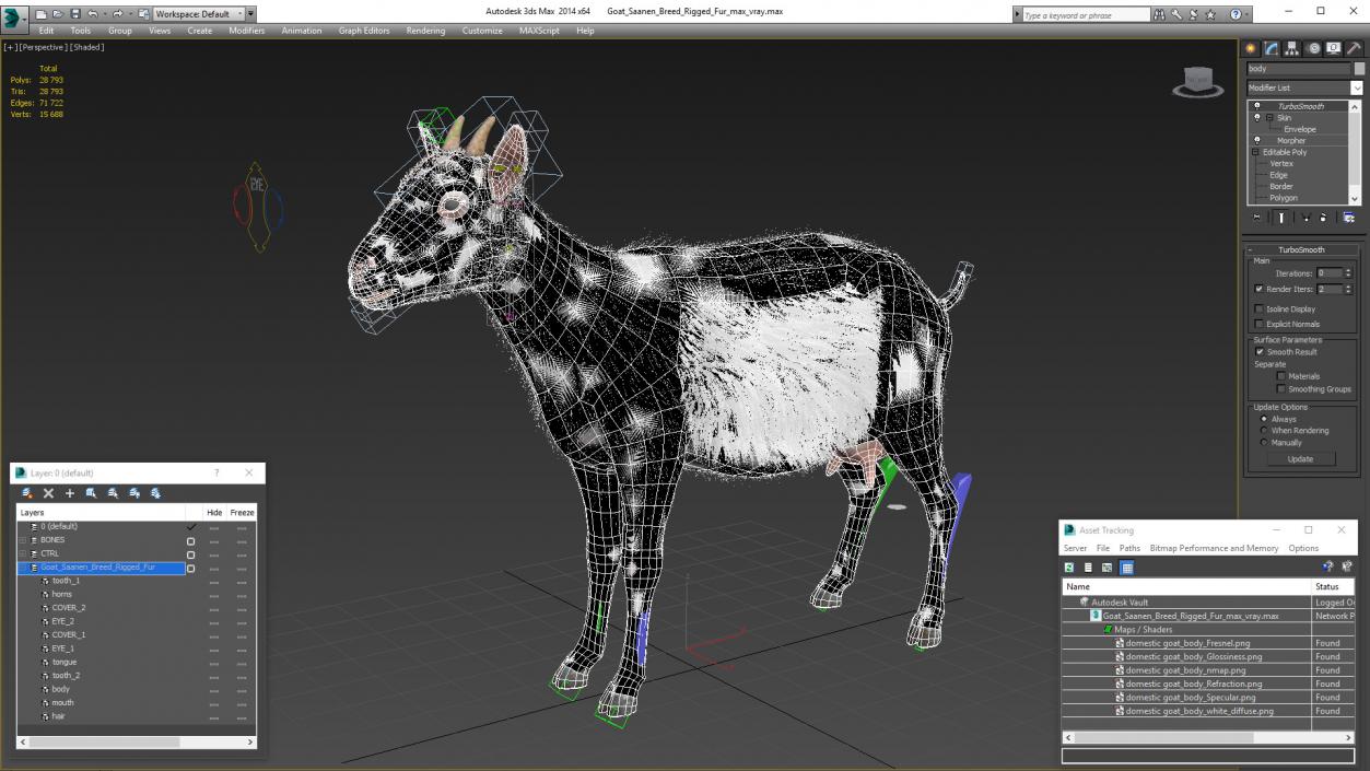 3D Goat Saanen Breed Rigged Fur model