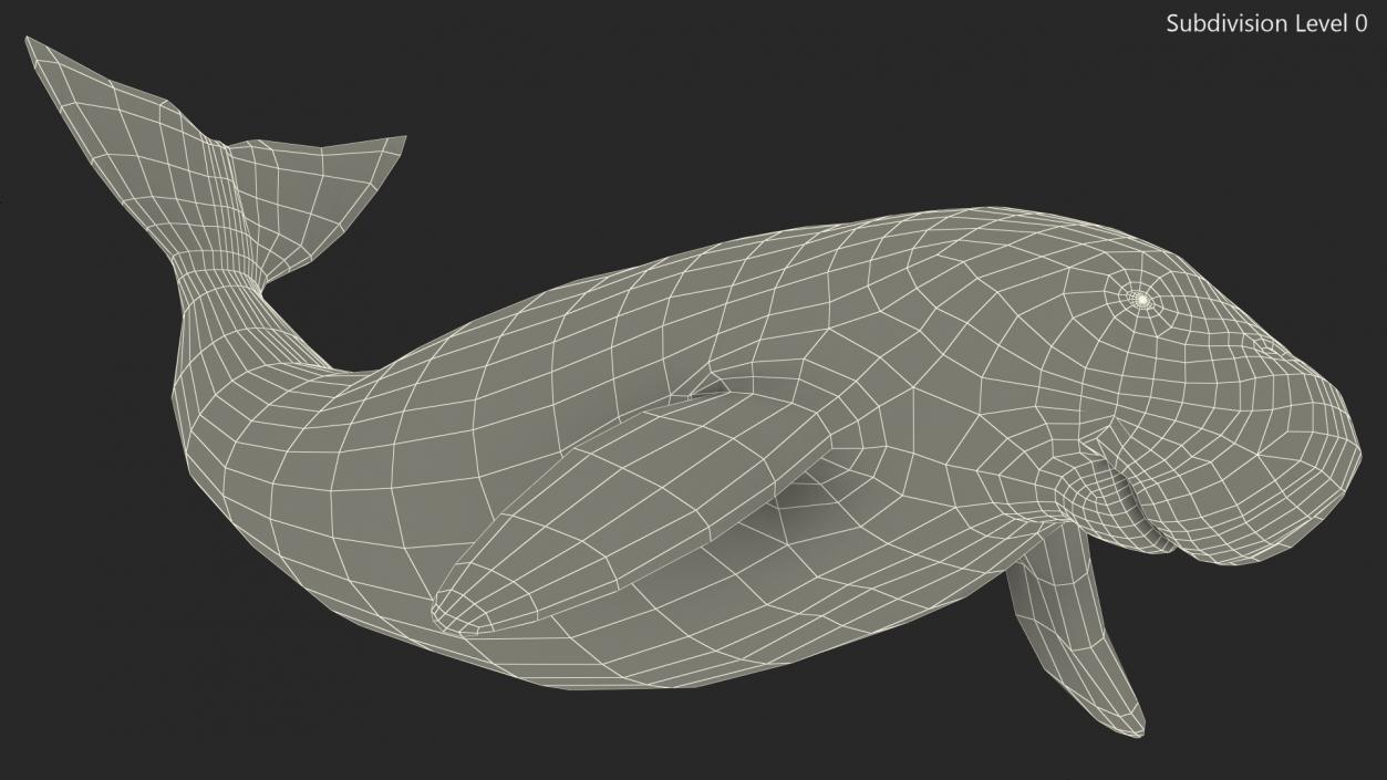 Dugong Playful Pose 3D model