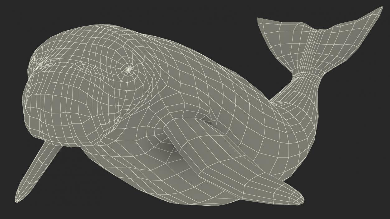 Dugong Playful Pose 3D model