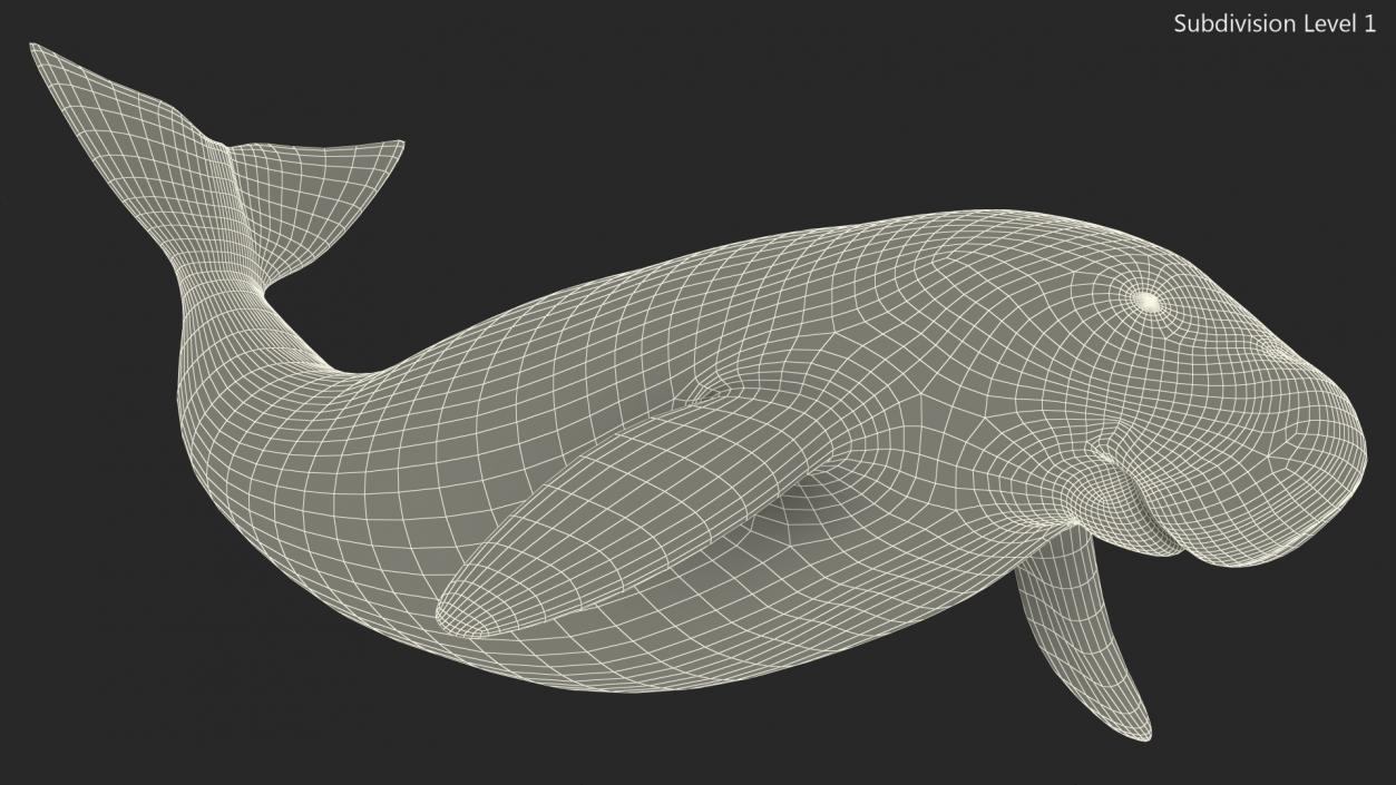 Dugong Playful Pose 3D model