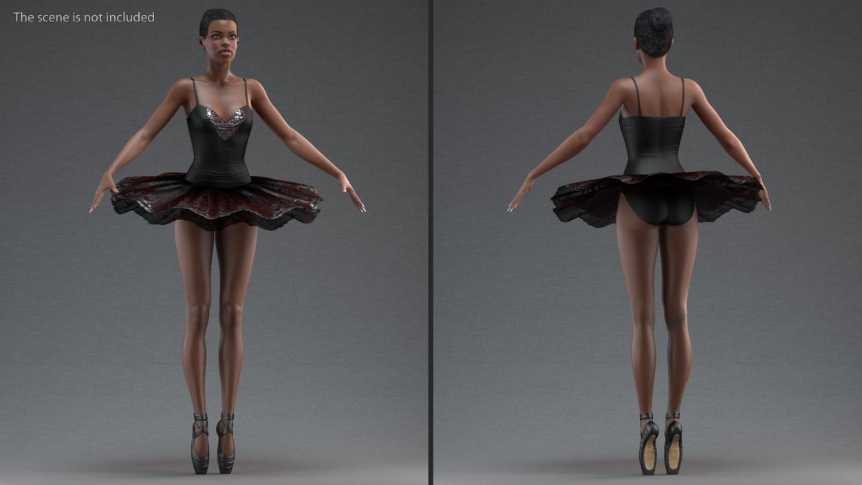 Black Swan Ballet Tutu 3D