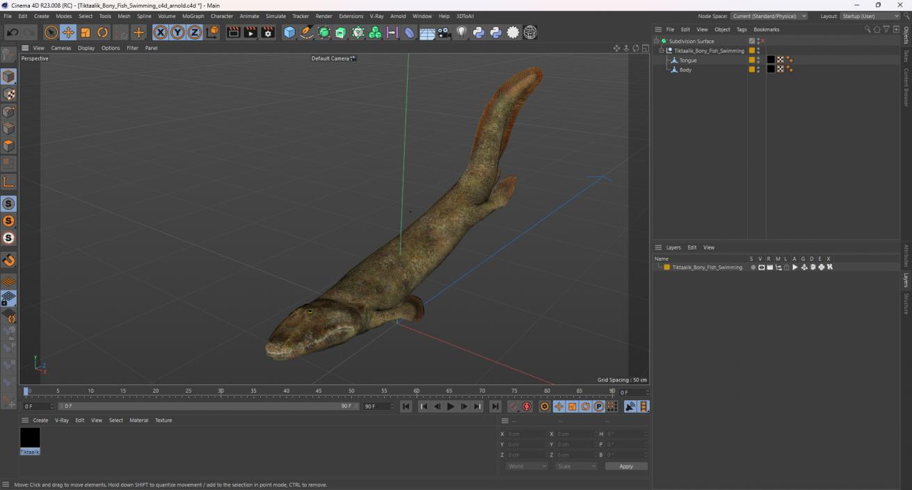 3D Tiktaalik Bony Fish Swimming model