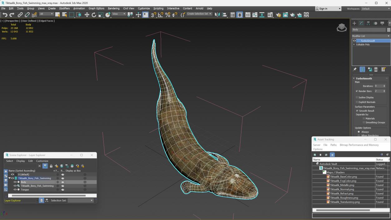 3D Tiktaalik Bony Fish Swimming model