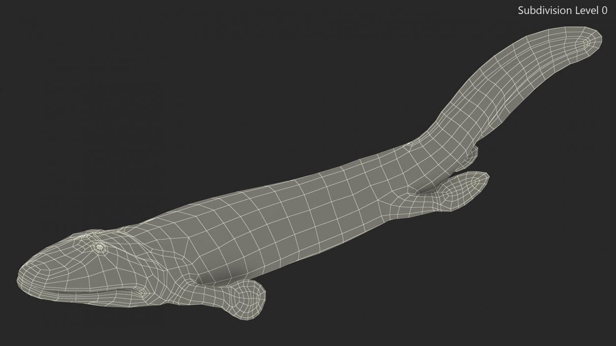 3D Tiktaalik Bony Fish Swimming model