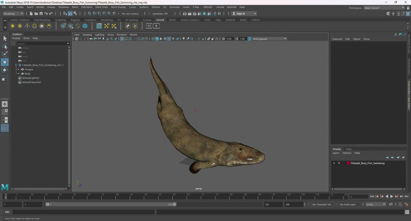 3D Tiktaalik Bony Fish Swimming model