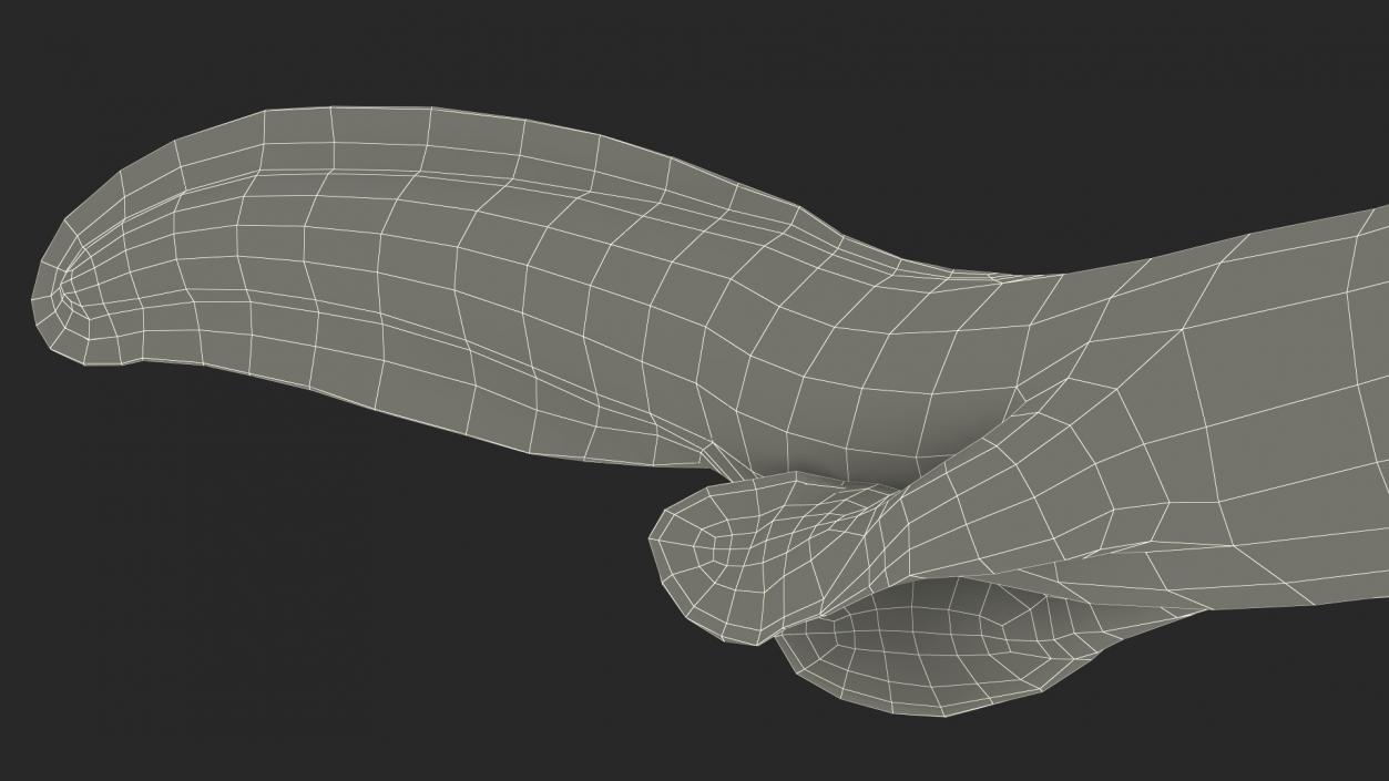 3D Tiktaalik Bony Fish Swimming model