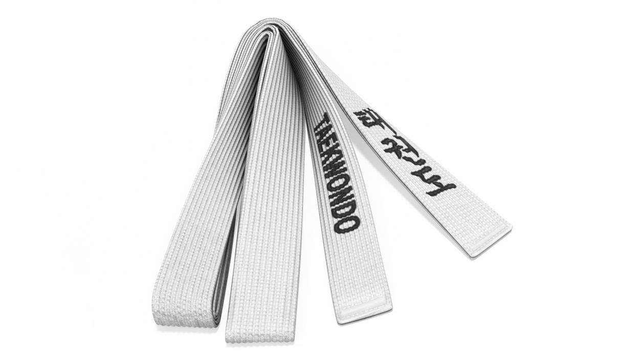 White Taekwondo Belt Obi 3D model