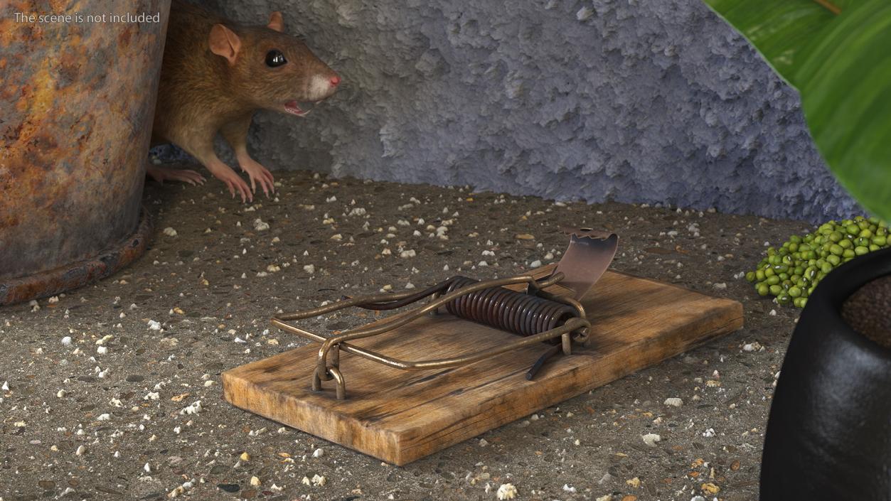 3D Wooden Mouse Trap Old