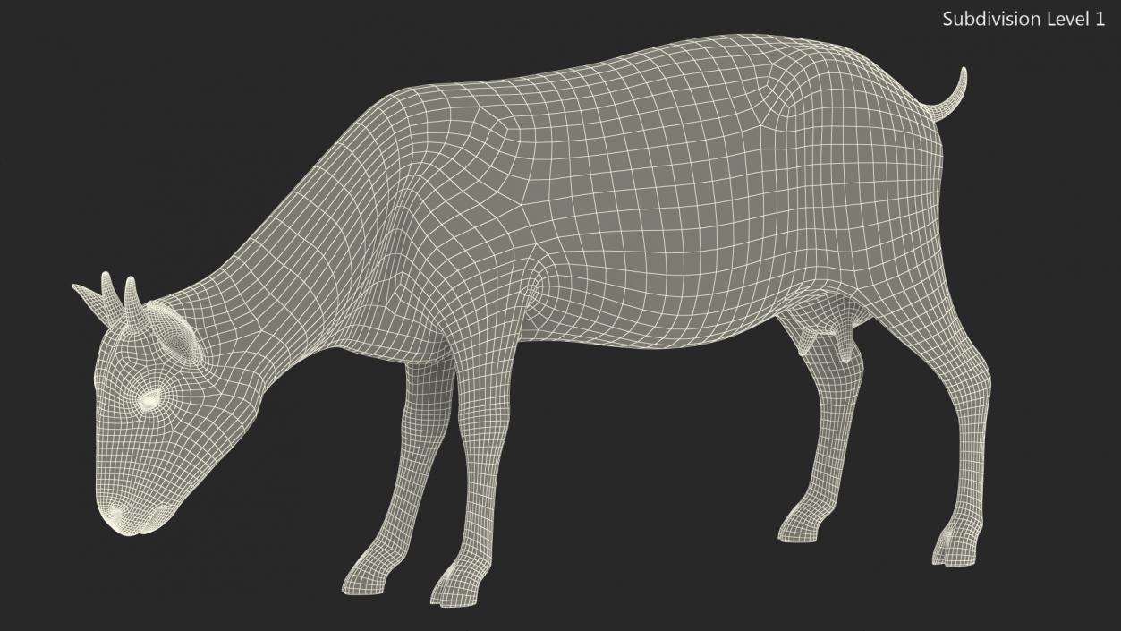 3D Goat on Pasture Brown-White Fur