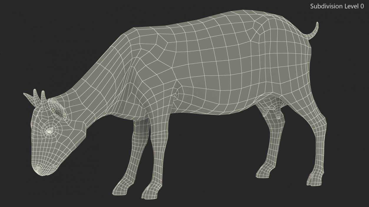 3D Goat on Pasture Brown-White Fur