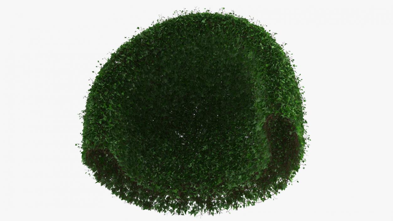 3D Green Gazebo Shrub model