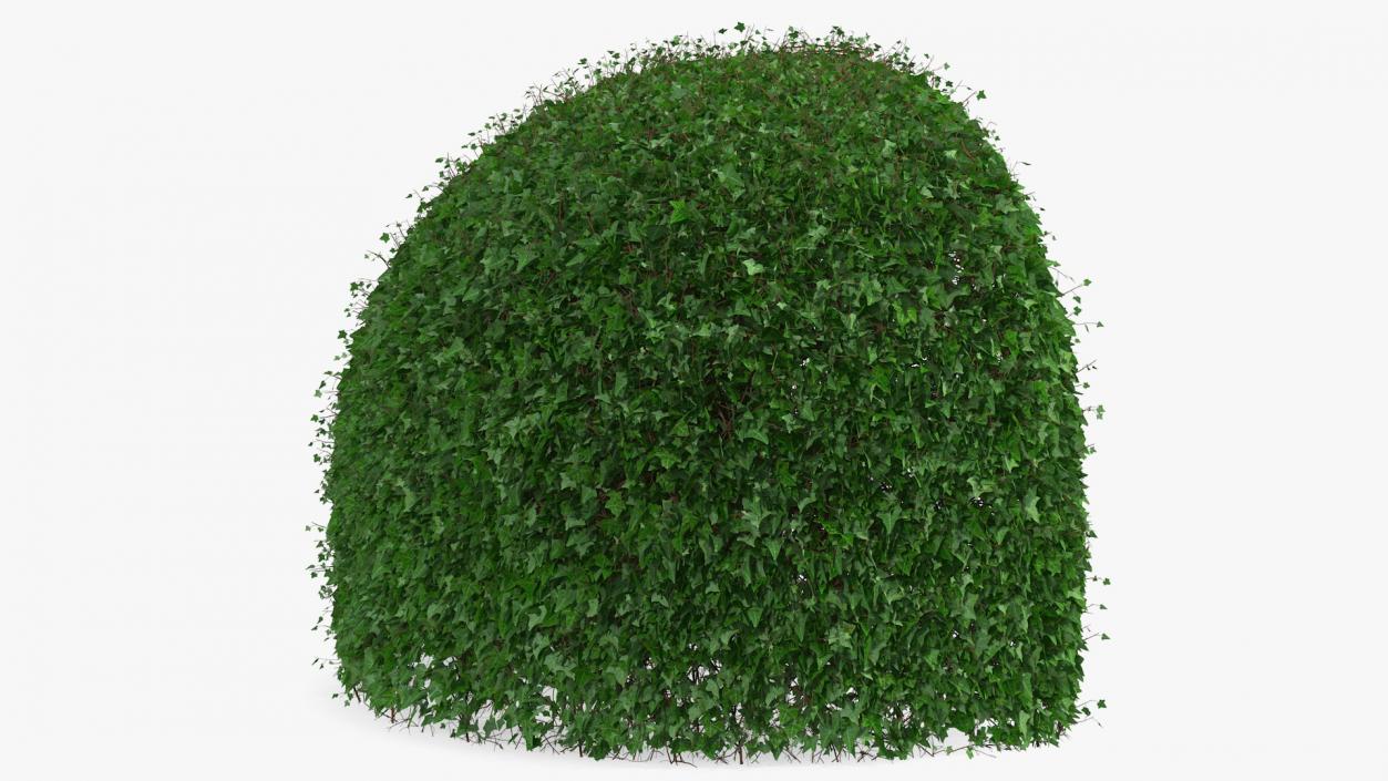 3D Green Gazebo Shrub model