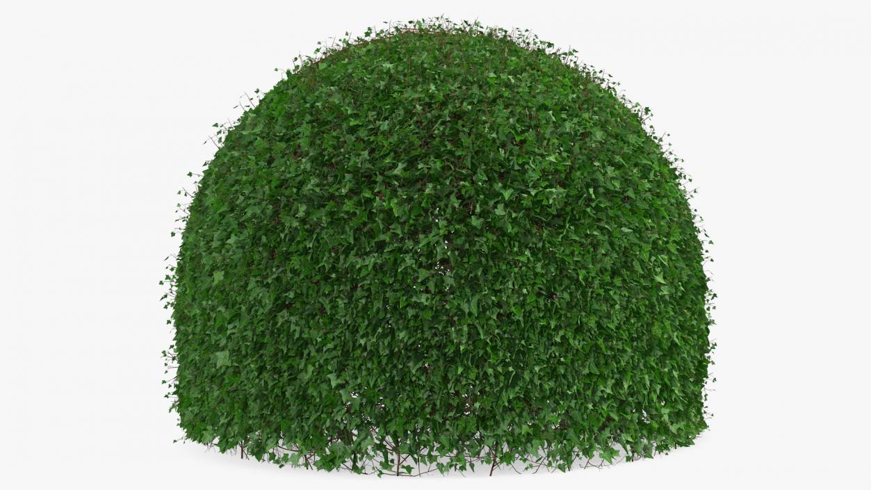 3D Green Gazebo Shrub model