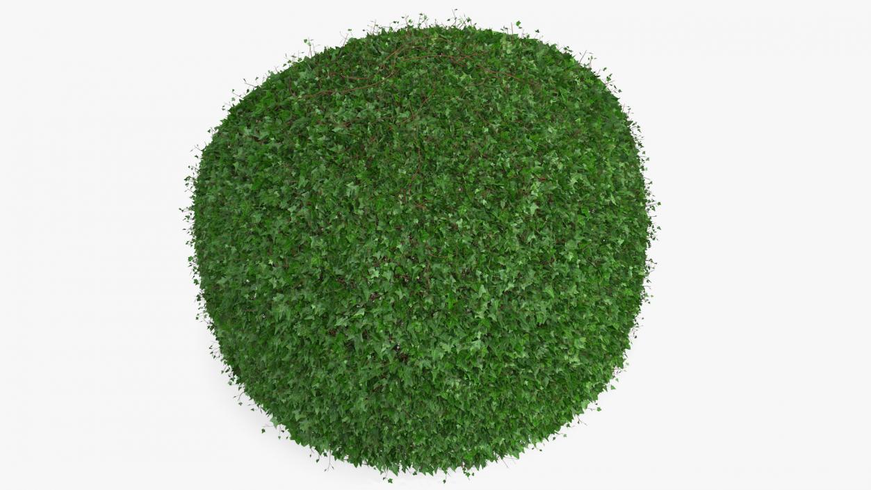 3D Green Gazebo Shrub model