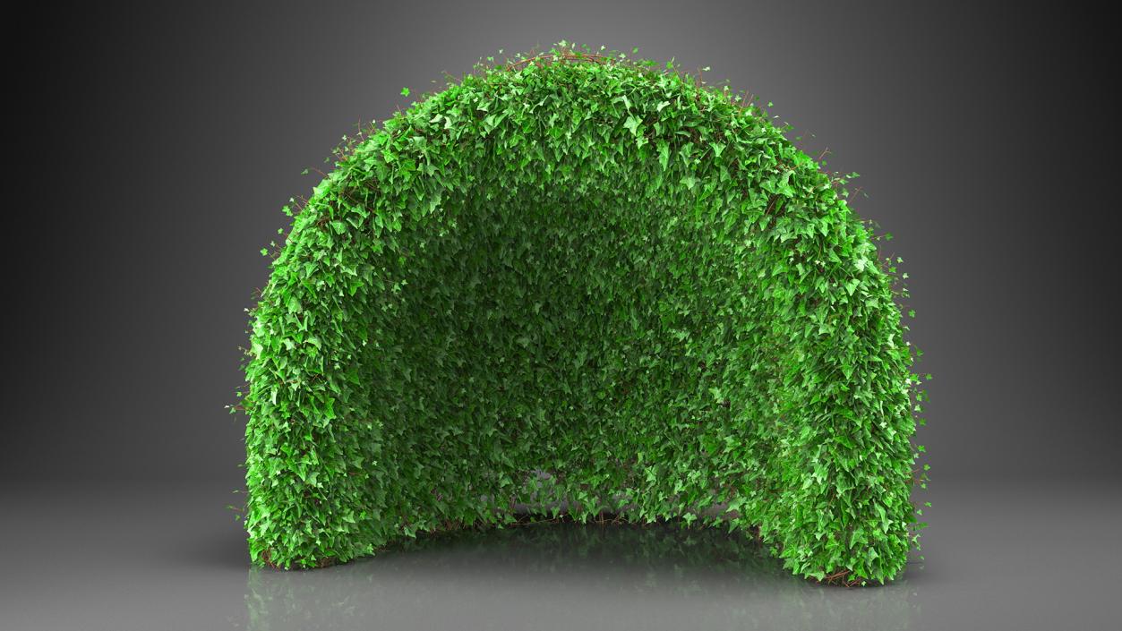 3D Green Gazebo Shrub model