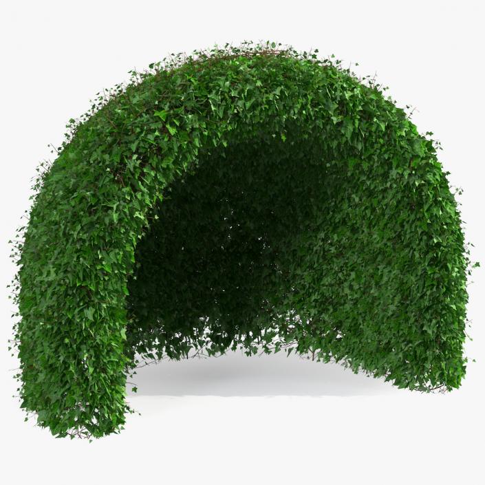 3D Green Gazebo Shrub model