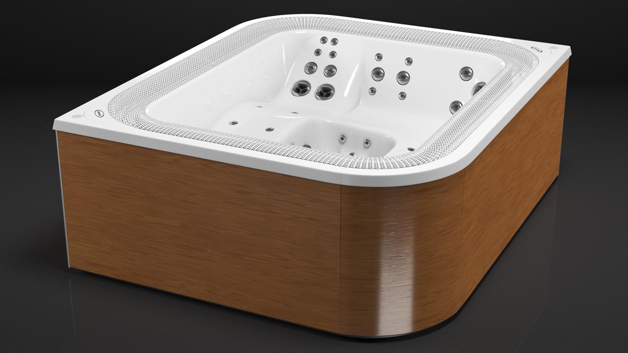 Jacuzzi Virtus Hot Tub 3D