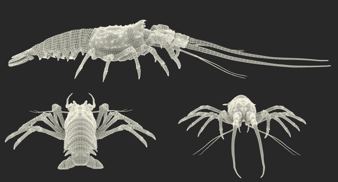 Langouste 3D model