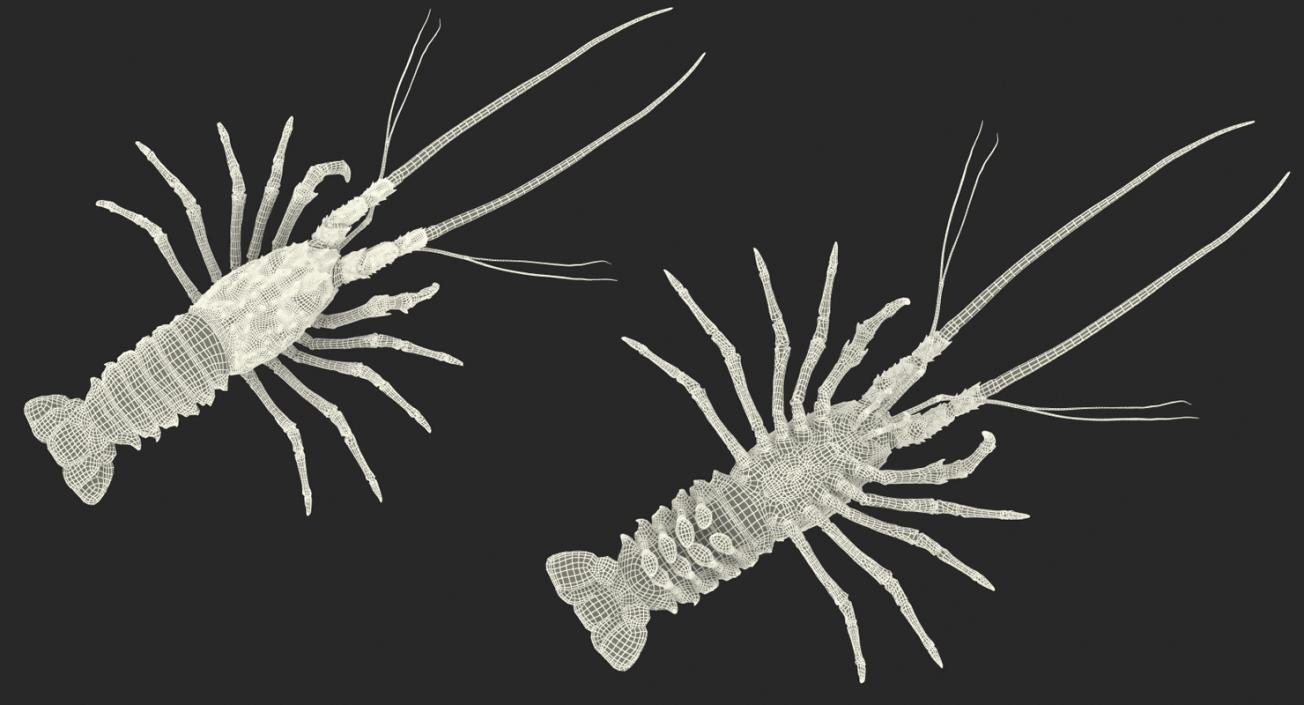 Langouste 3D model