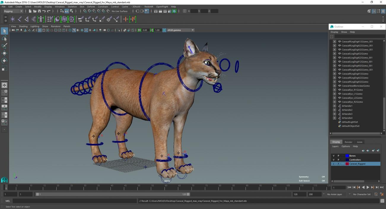 3D Caracal Rigged for Maya model