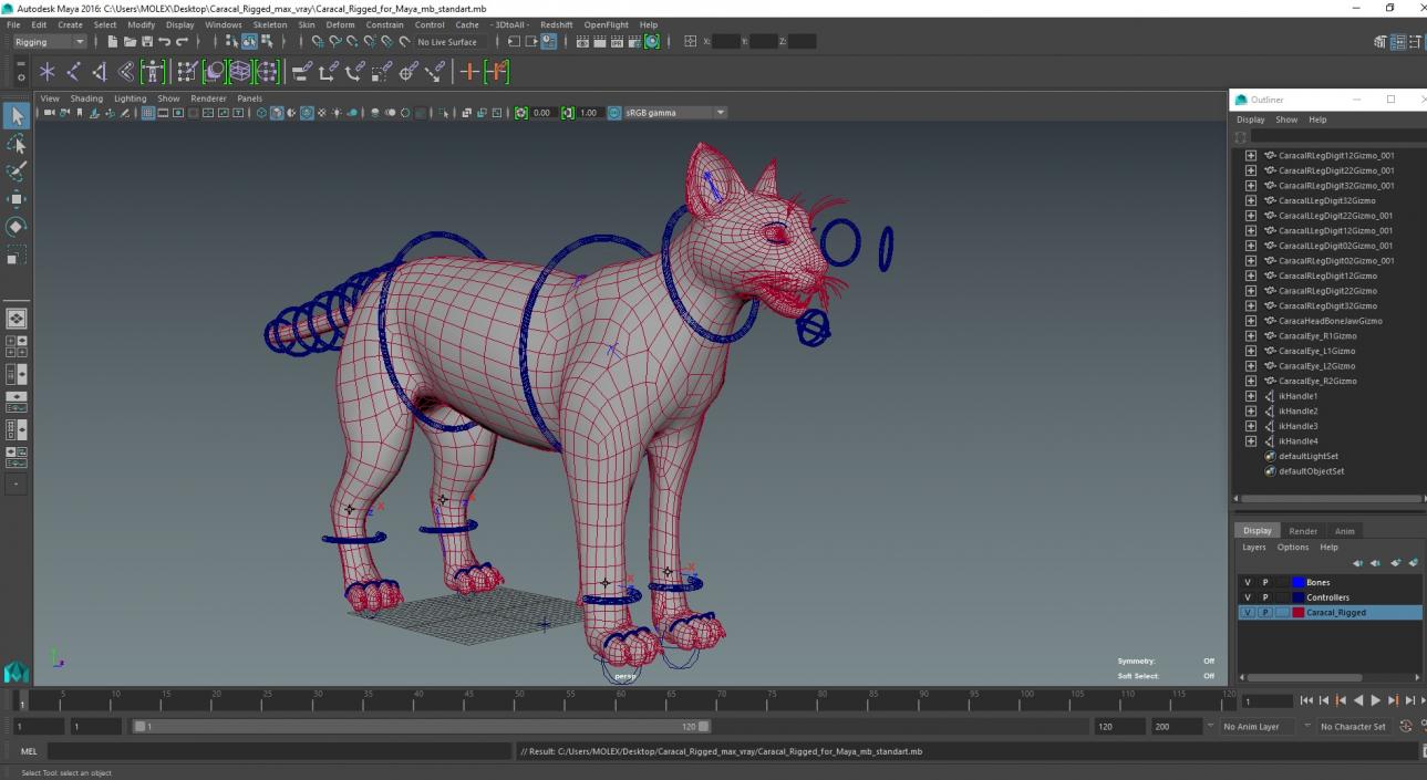 3D Caracal Rigged for Maya model