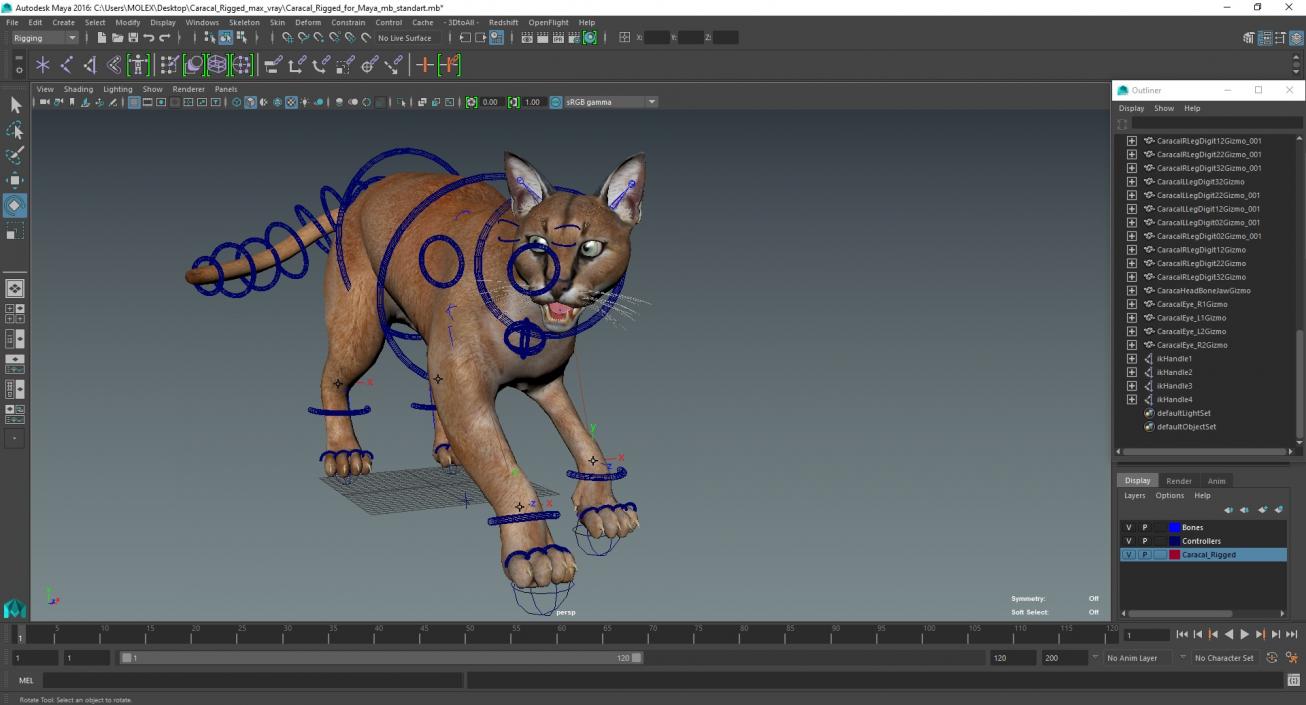 3D Caracal Rigged for Maya model