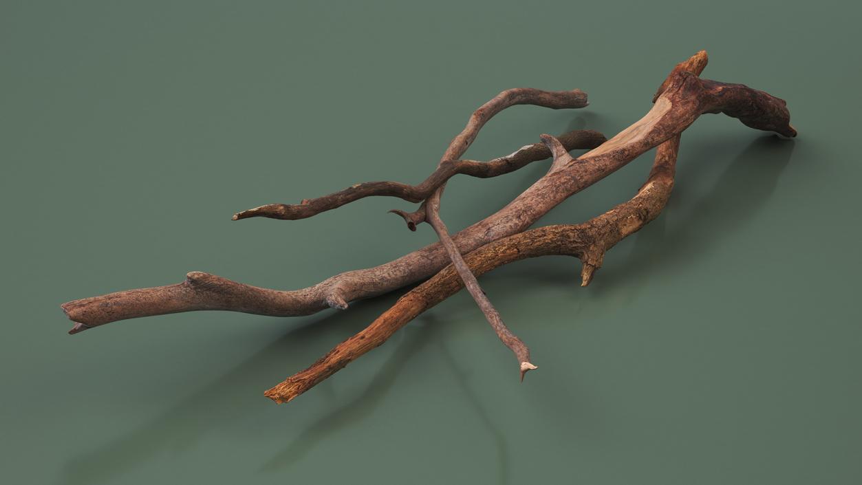 Heap of Dry Branches 2 3D