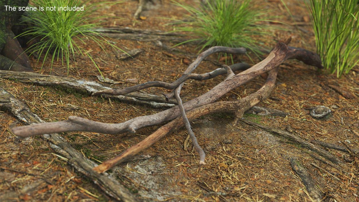 Heap of Dry Branches 2 3D