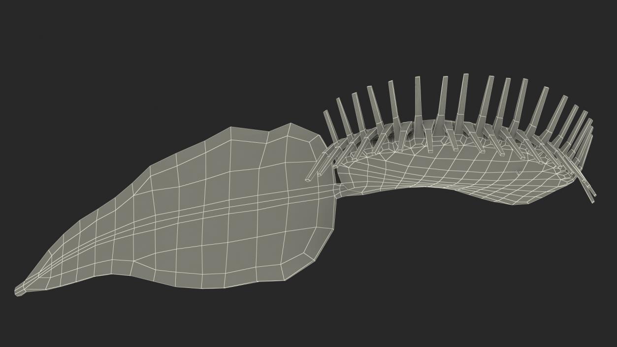 3D Venus Flytrap Dionaea Muscipula Rigged model