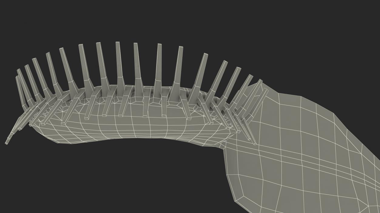 3D Venus Flytrap Dionaea Muscipula Rigged model