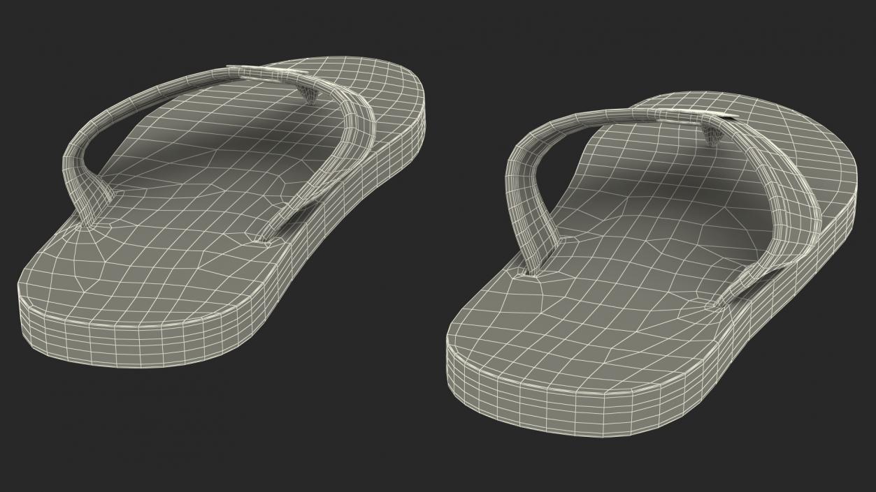 3D model Flip Flops Superdry Black