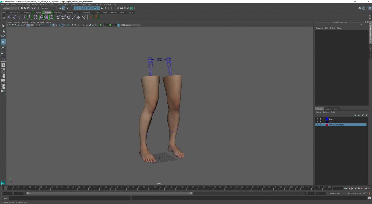 Female Legs Rigged for Maya 3D