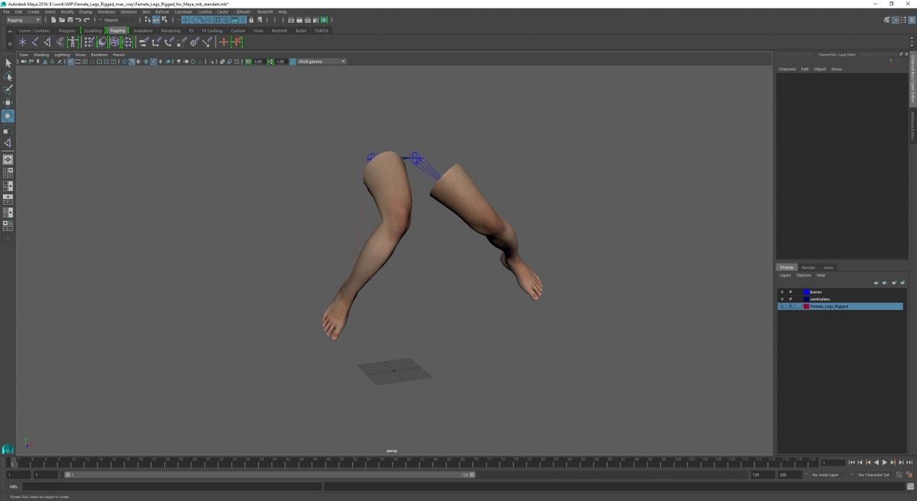 Female Legs Rigged for Maya 3D